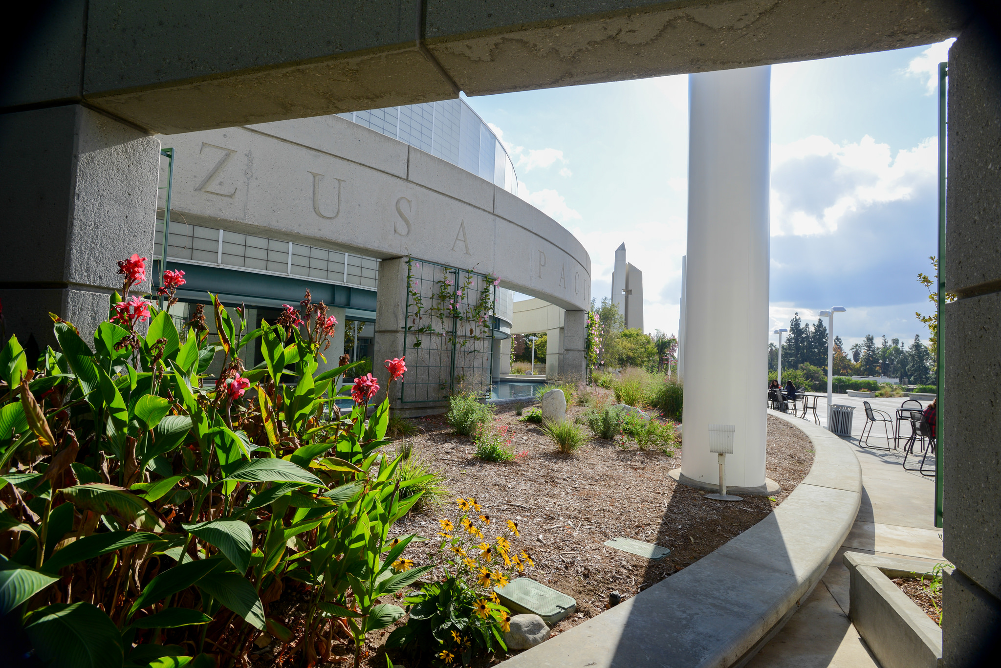Changing Enrollment Rates at APU - ZU Media